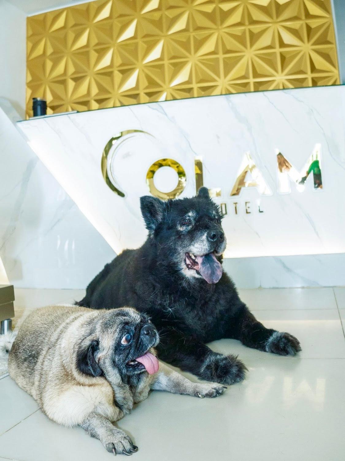 Hotel Olam Deluxe Valledupar Ngoại thất bức ảnh